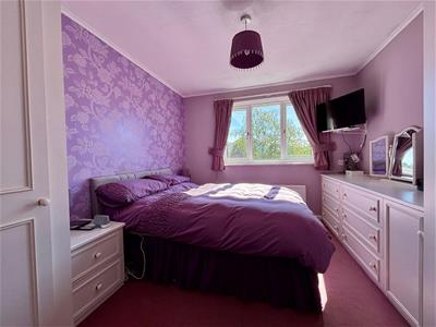 Picture 11